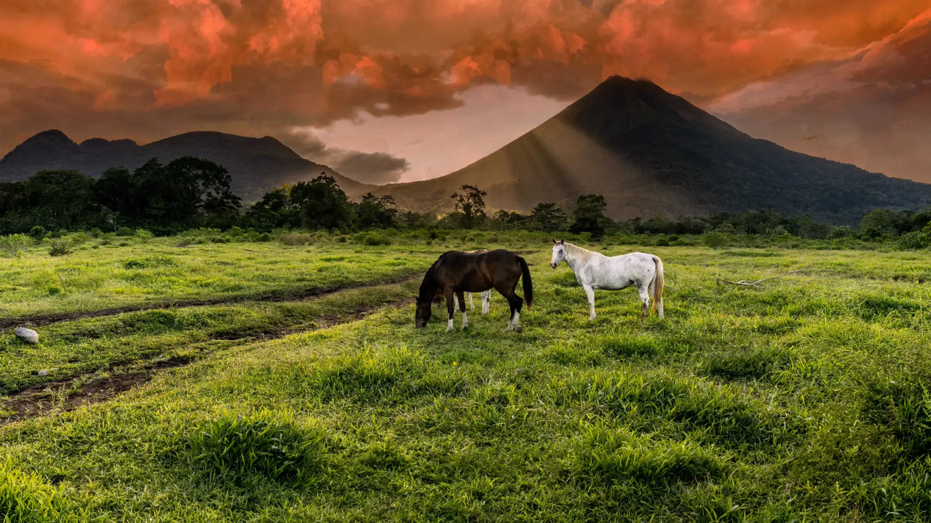 Bellezas de Costa Rica con Guanacaste