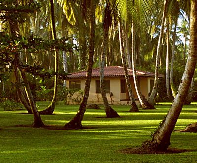 Turtle Beach Lodge