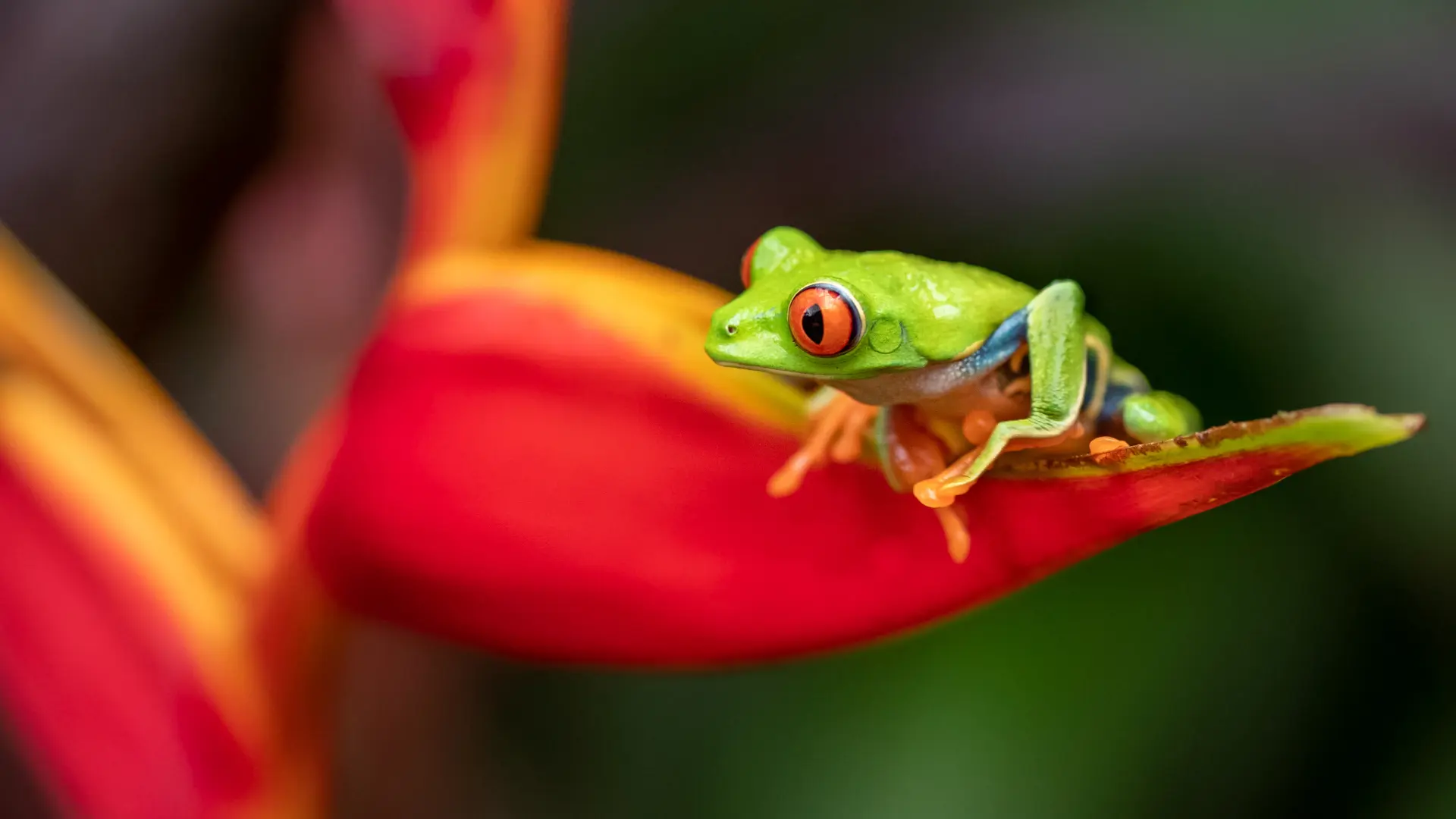 Costa Rica