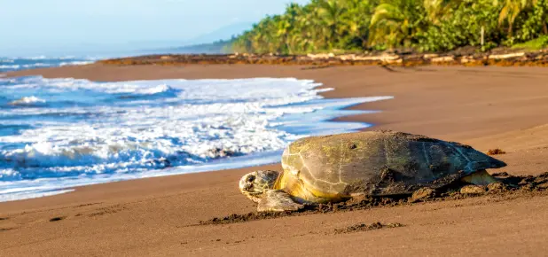 Costa Rica